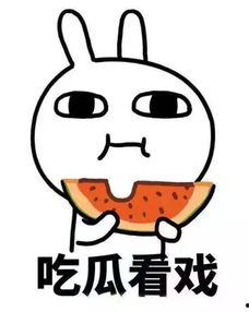 娱乐吃瓜酱想吃就吃,尽享美食盛宴——跟随娱乐吃瓜酱解锁美味人生